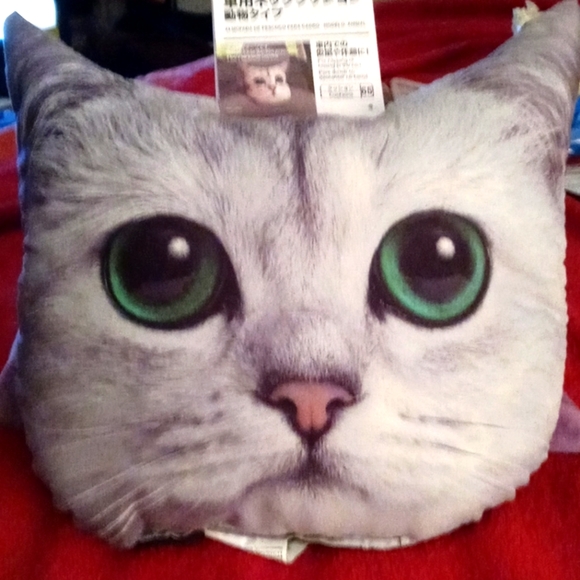 daiso cat cushion